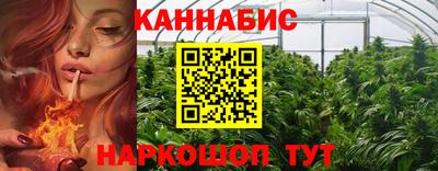 стаф Кингисепп